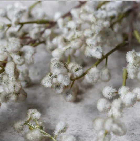 Willow Blush Artificial Flower Stems (Two Stems)