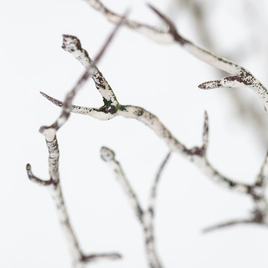 Faux Hawthorn Branches (Two Stems)